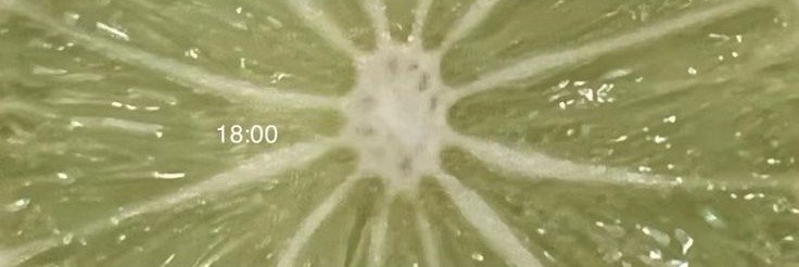ًjung, banner