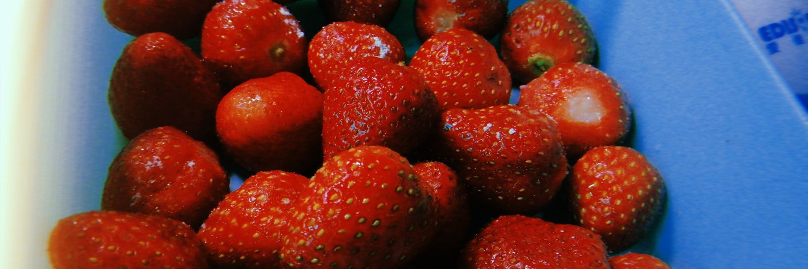 柒兔（ななうさ） banner