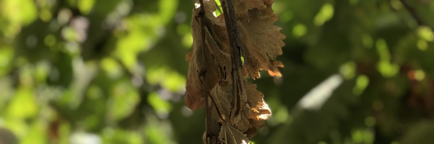 msam112's profile banner image