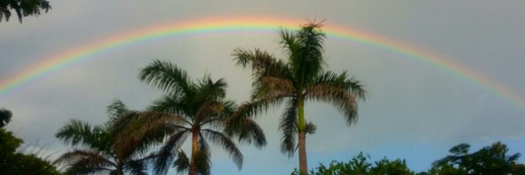 ℂ𝕙𝕖𝕪𝕤 🌴 banner