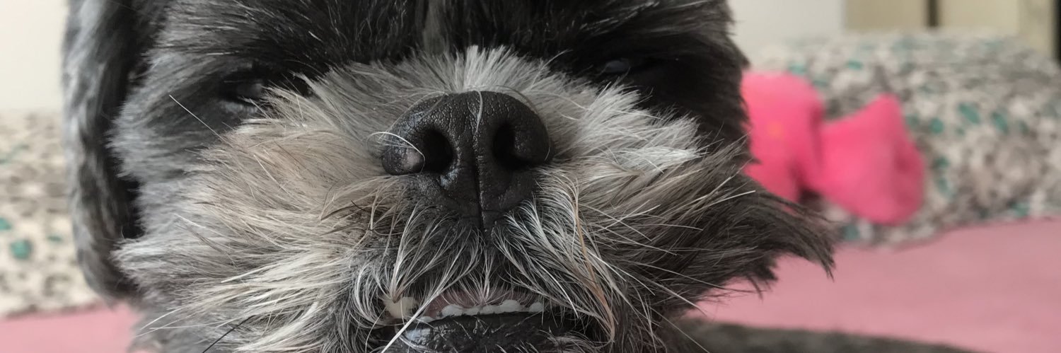 Deborahdpc's profile banner image