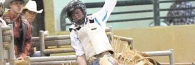 daltondycus's profile banner image