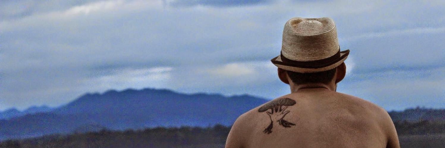 MaferCalvillo's profile banner image