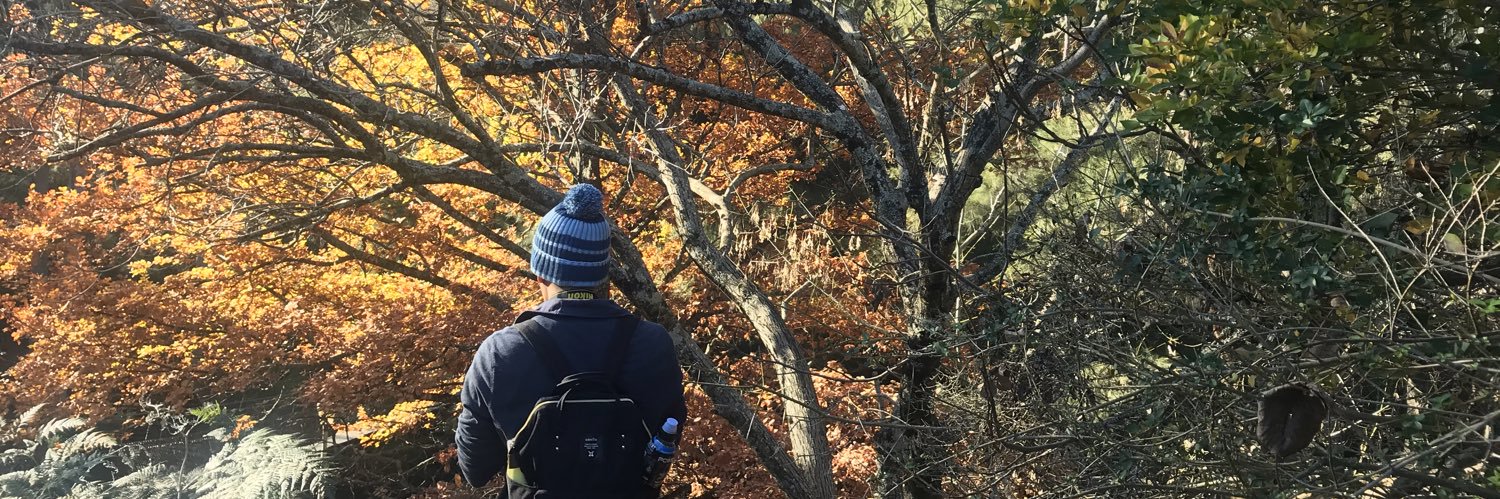 gotmelk93's profile banner image