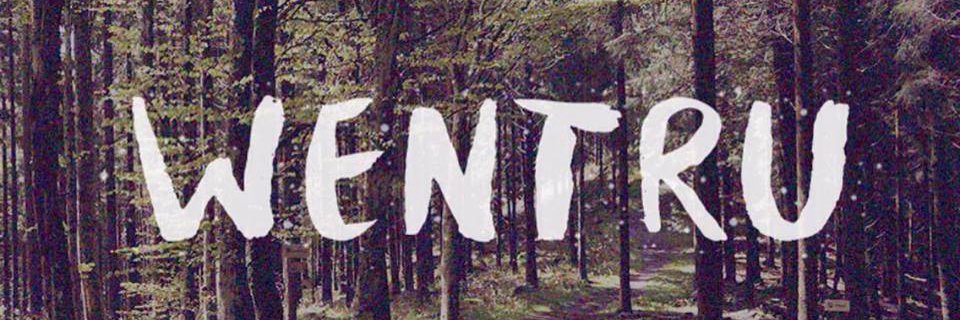 wentru's profile banner image