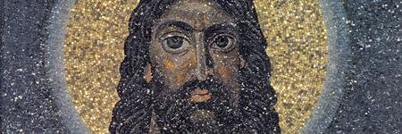 newtypejosh | The Pollination banner