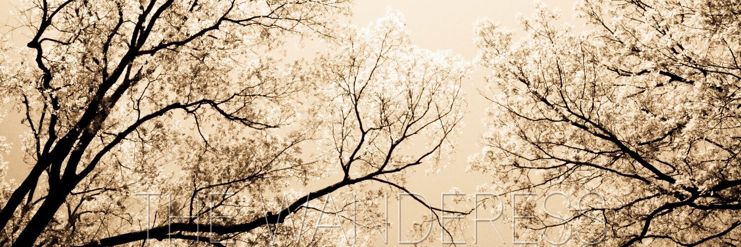 JulieCrisp7's profile banner image