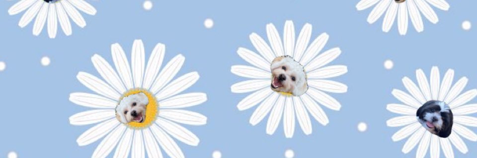 periwigs's profile banner image