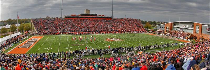 Matthew Daley banner