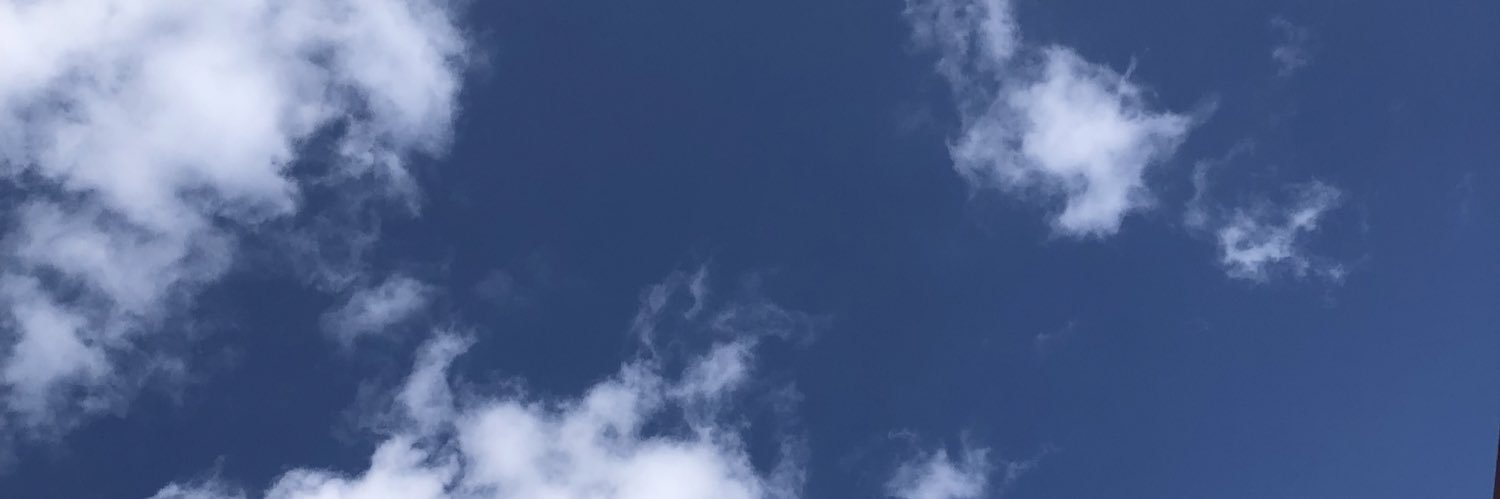 Appleapple1246's profile banner image
