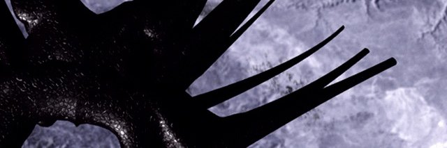 AllanGrohe's profile banner image