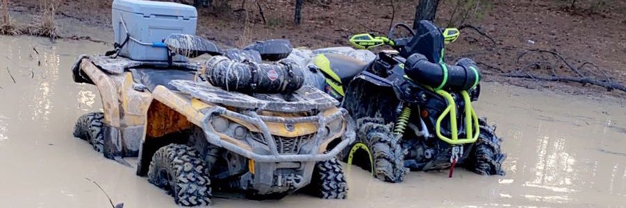 alex_wildes's profile banner image