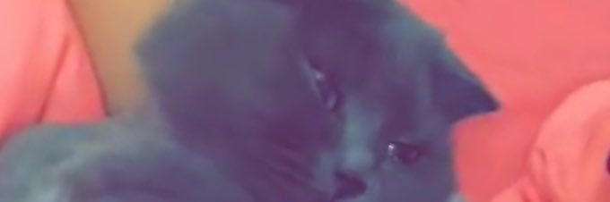 LAILAALII1's profile banner image