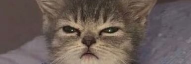 AnaRedondoG_'s profile banner image