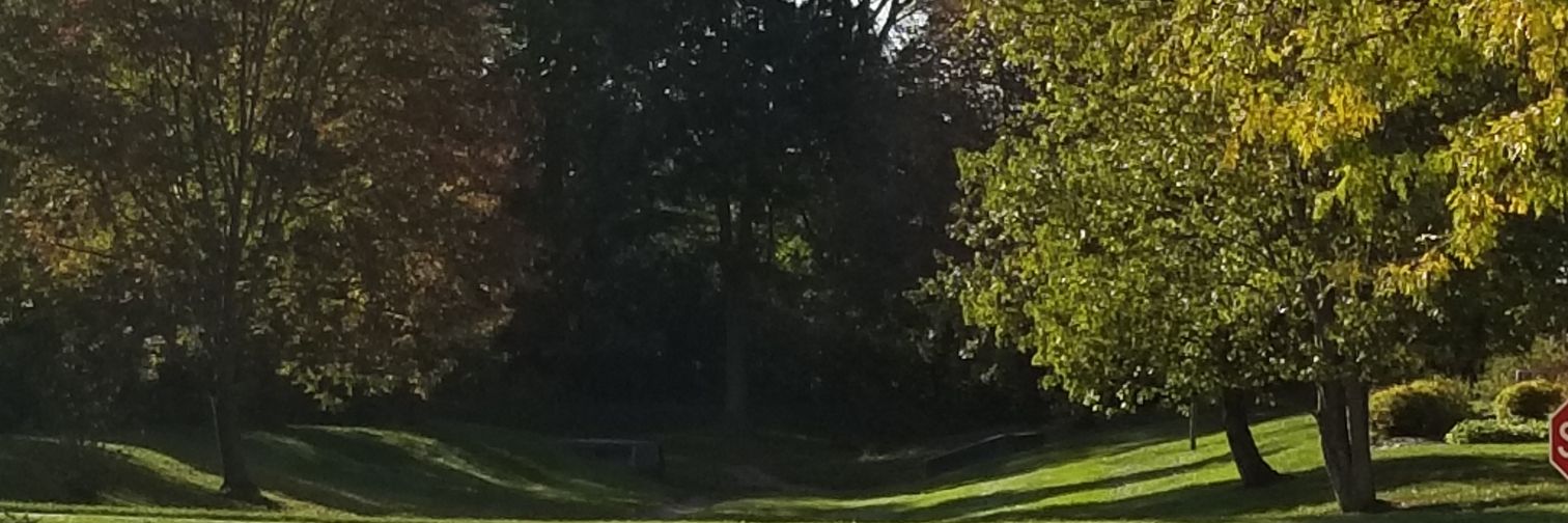 Sandy with a Y banner