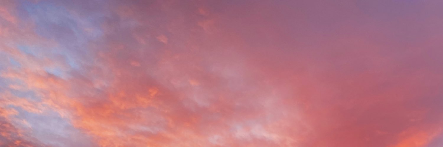 PrincessAryx0's profile banner image