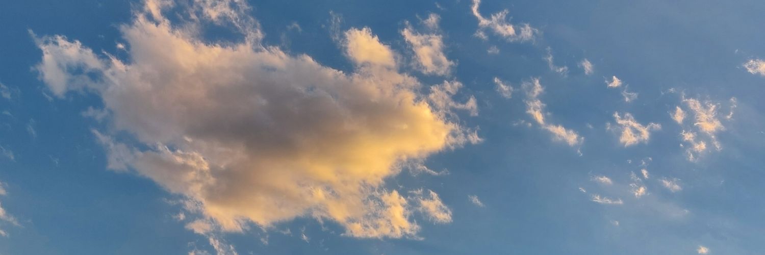 ffl0ra's profile banner image