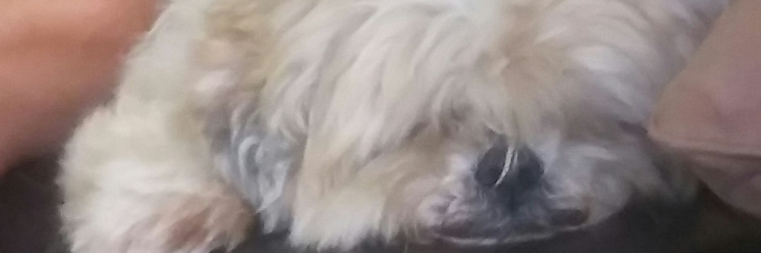 elliotj1's profile banner image