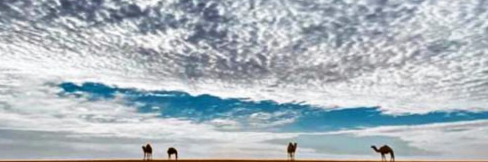 عبدالاله المقاطي banner