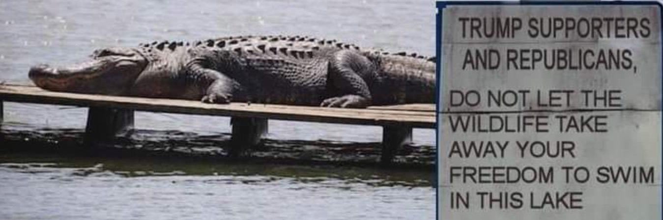 NevarezBrett's profile banner image