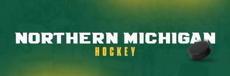 Northern Michigan Hockey banner