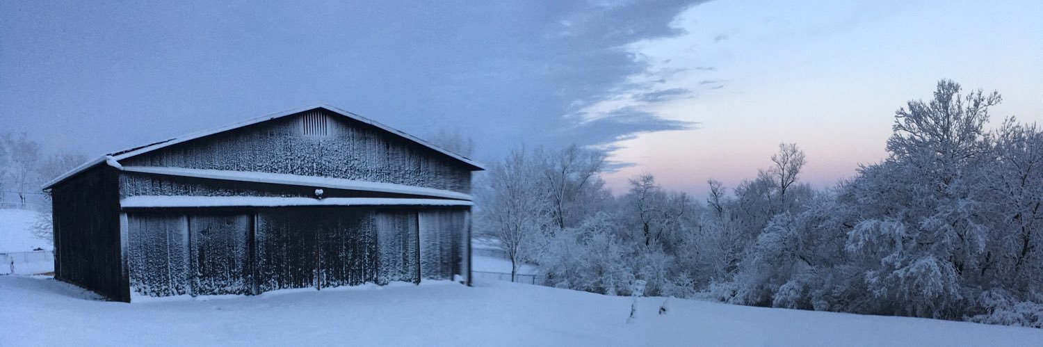 Jackie Snyder,D.V.M. banner