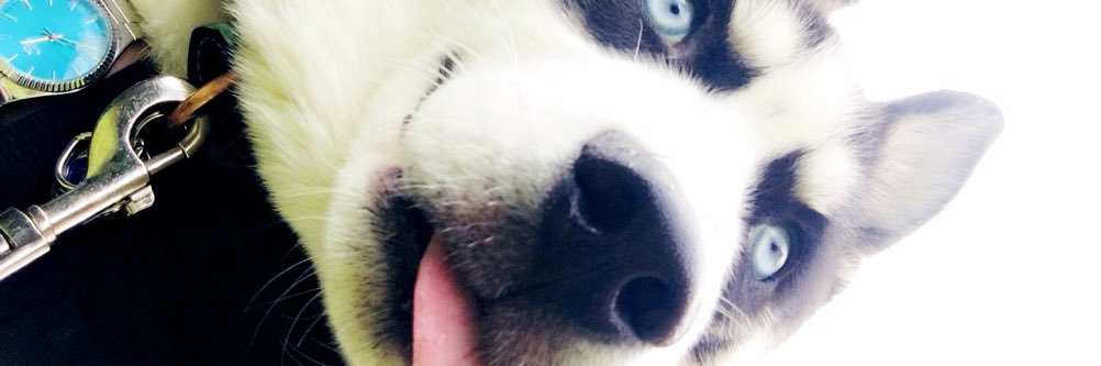 ArantxaMC7's profile banner image