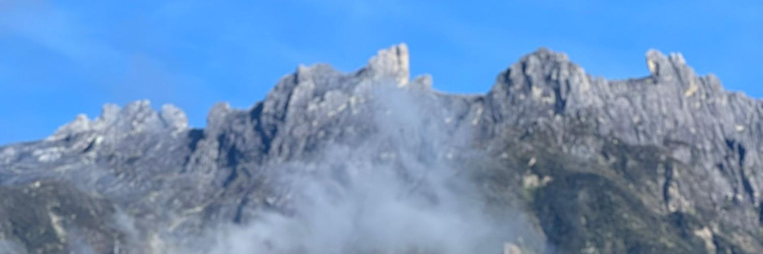 schamomilecha's profile banner image