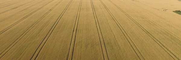 MattBeischlag Profile Banner