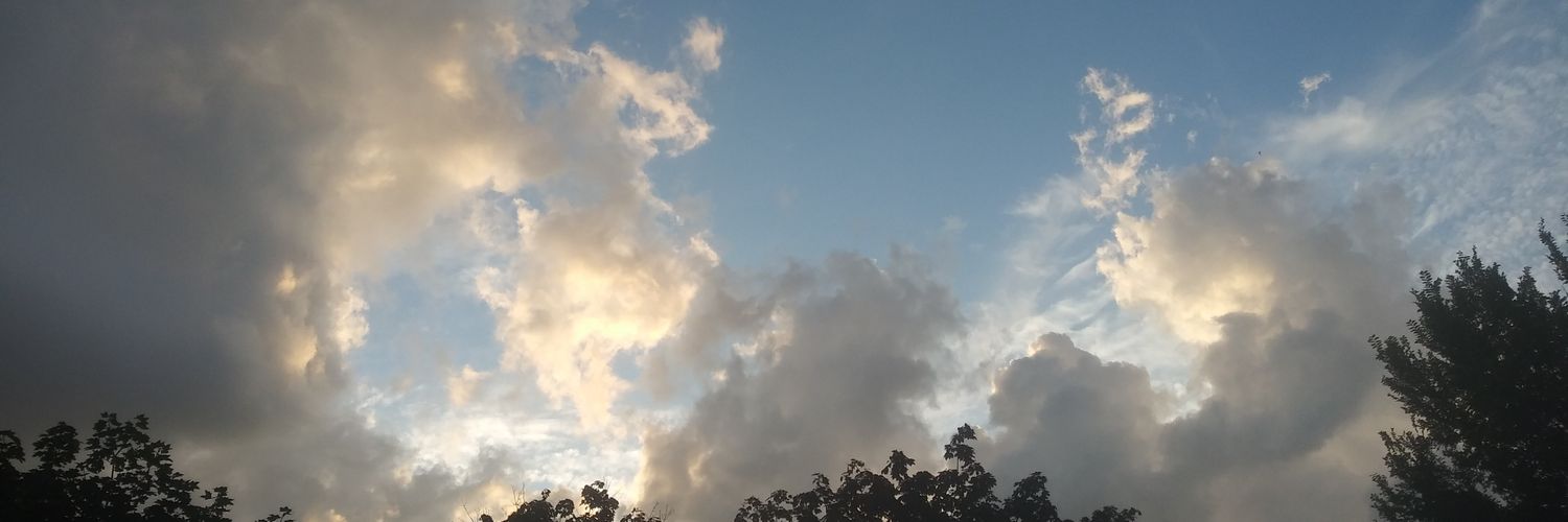 gendermoss's profile banner image