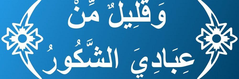 عبداللاه حيدرة's banner