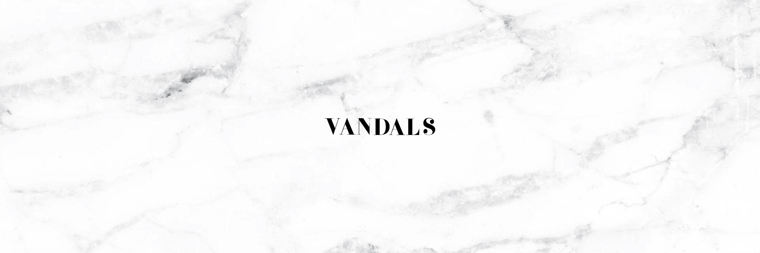 Vandals banner