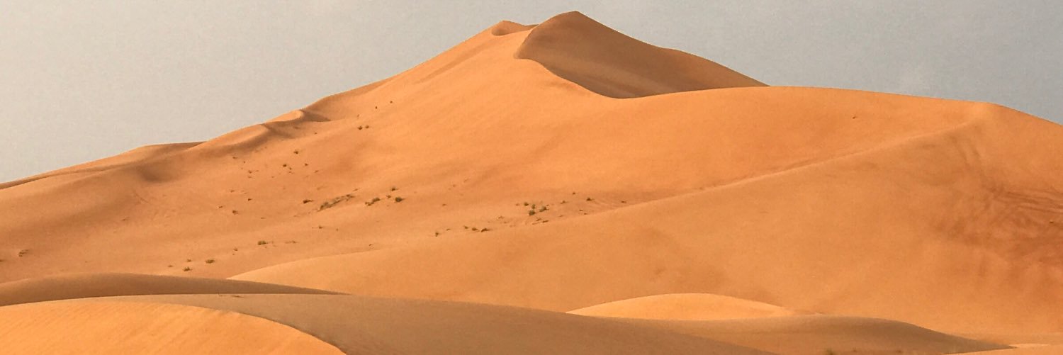 searcher0731's profile banner image