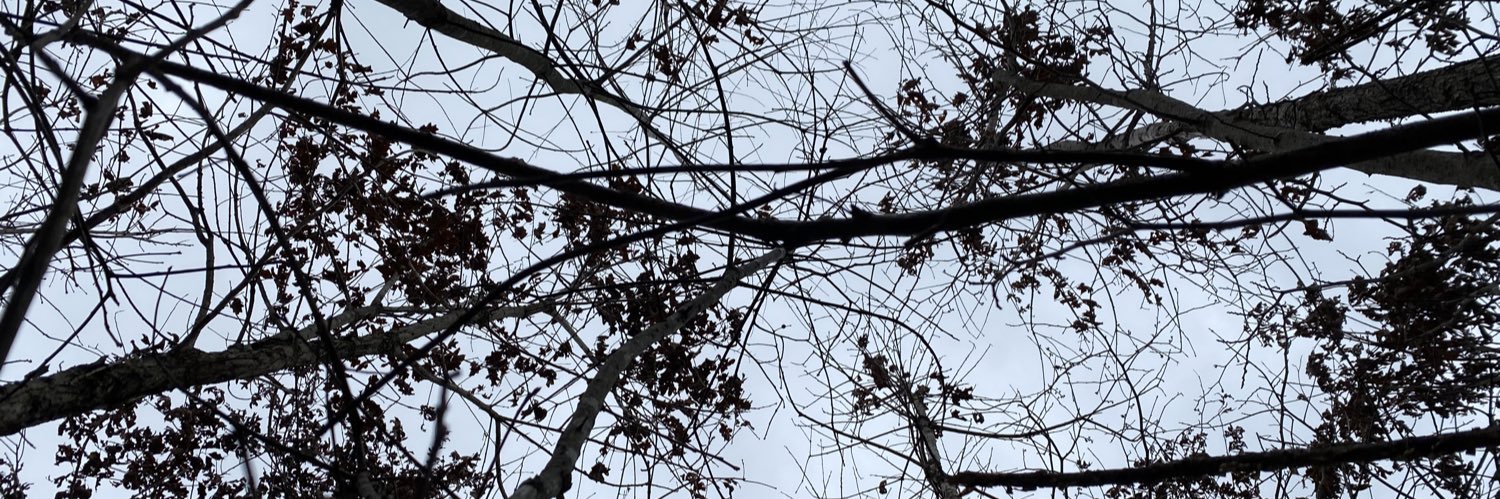 _alyxandra_'s profile banner image