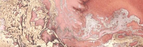 CaitHilton's profile banner image