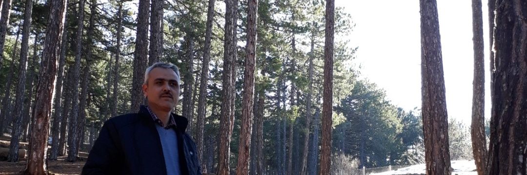 sevinak43's profile banner image