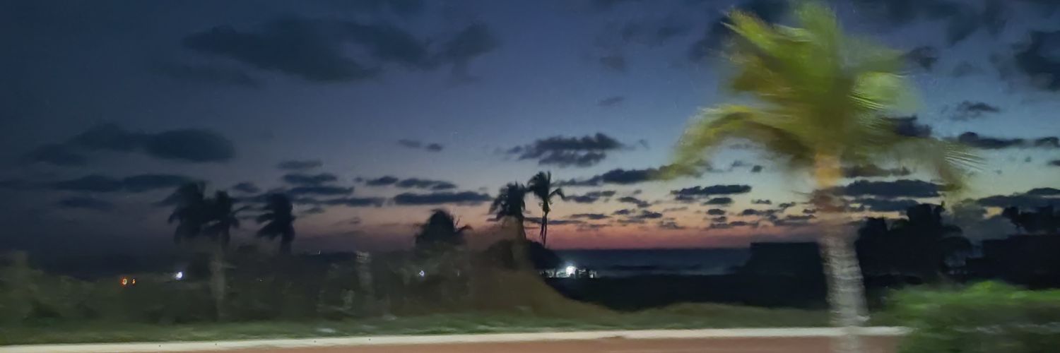 AnahiCastilloRo's profile banner image