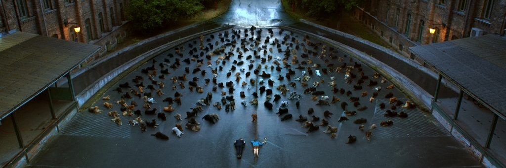 Ro Mejía 🏳️‍⚧️ banner