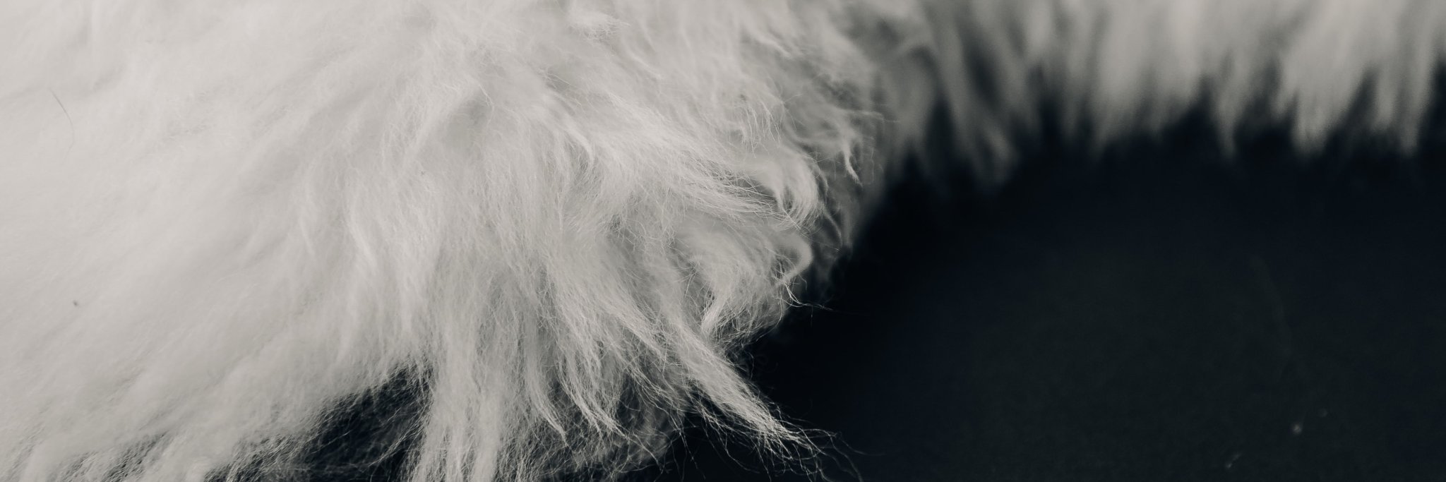 flacoteOK's profile banner image