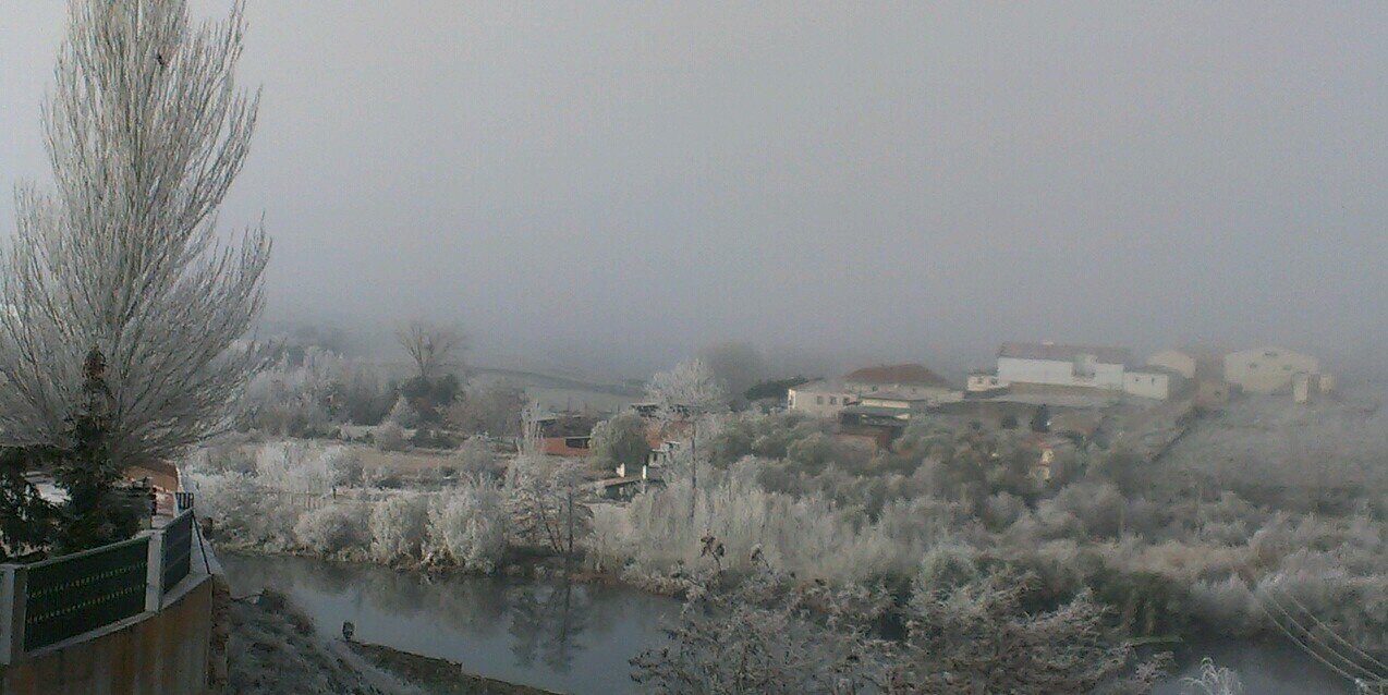 elcampobravodeSA® banner