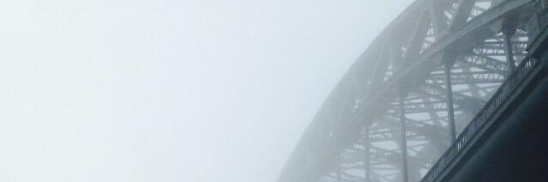 splamavid's profile banner image