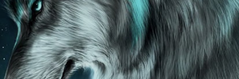 XRP_Turk's profile banner image