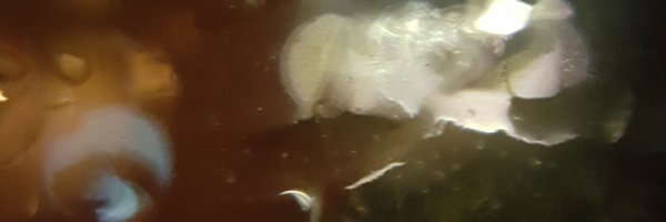 TheoLun Profile Banner