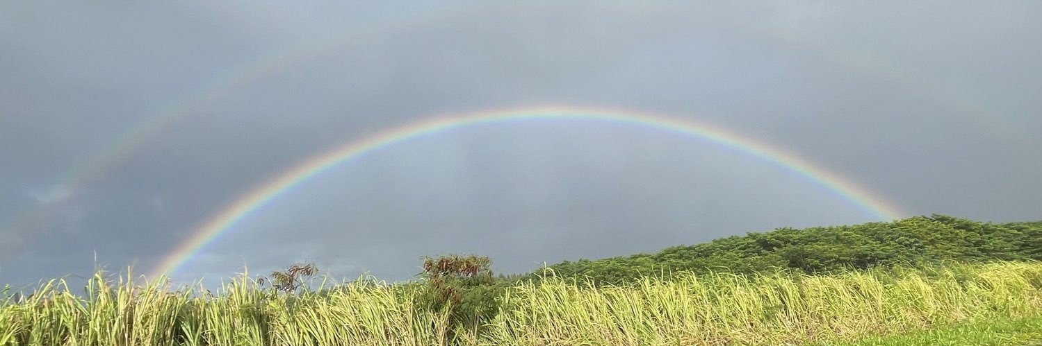 JaimeHauser14's profile banner image
