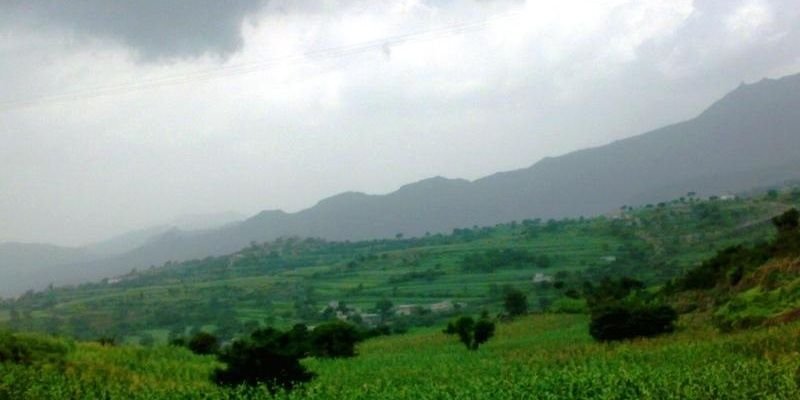 Buali502's profile banner image