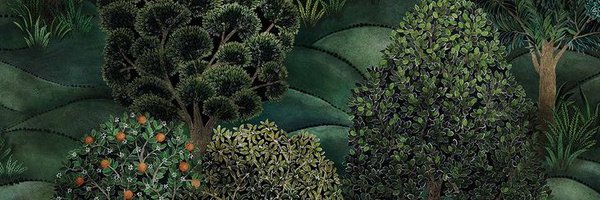 InjyIsmael Profile Banner