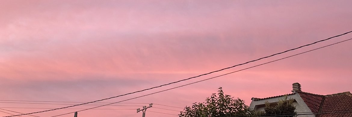 Jud_Rosa's profile banner image