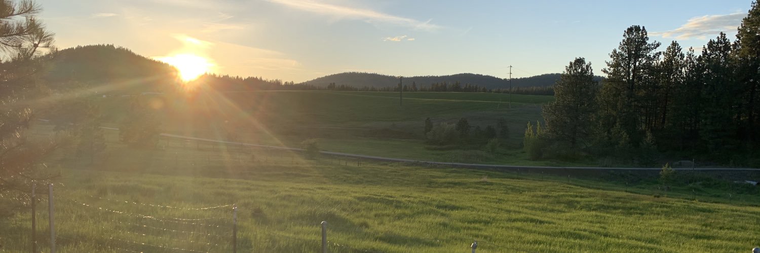 chiefer91's profile banner image