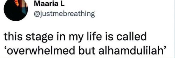 herroyalj Profile Banner