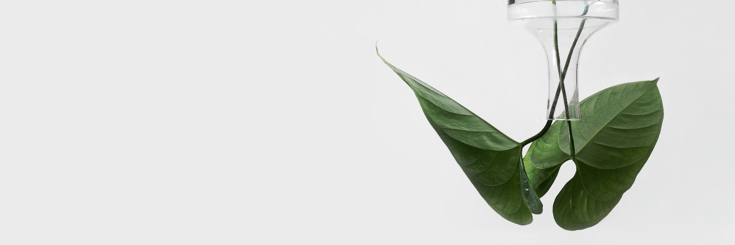 Imaymard's profile banner image